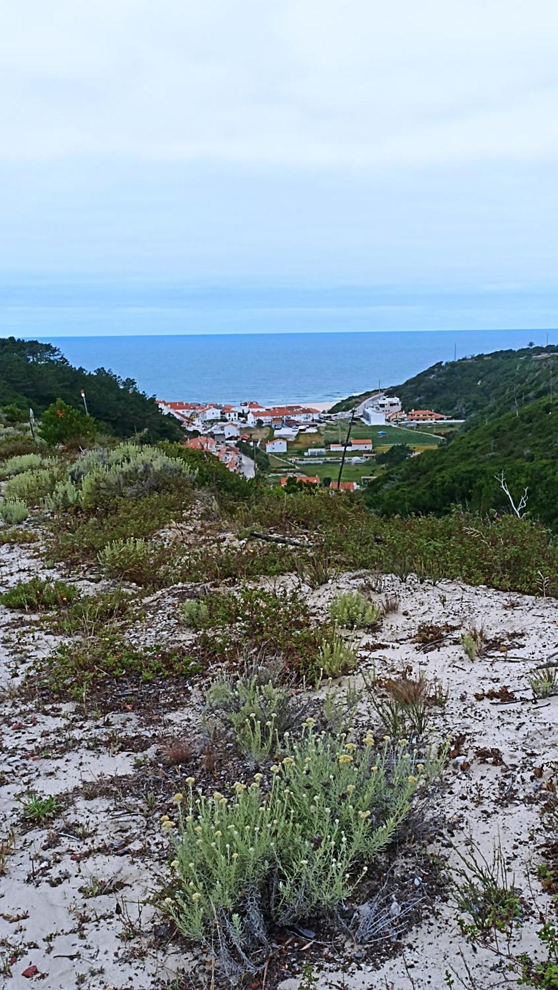 Tinyhouse Tilda - Near Famous Beaches Pataias Exterior foto