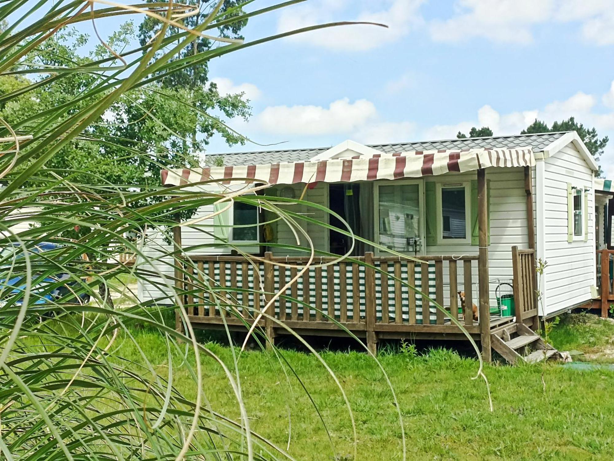 Tinyhouse Tilda - Near Famous Beaches Pataias Exterior foto