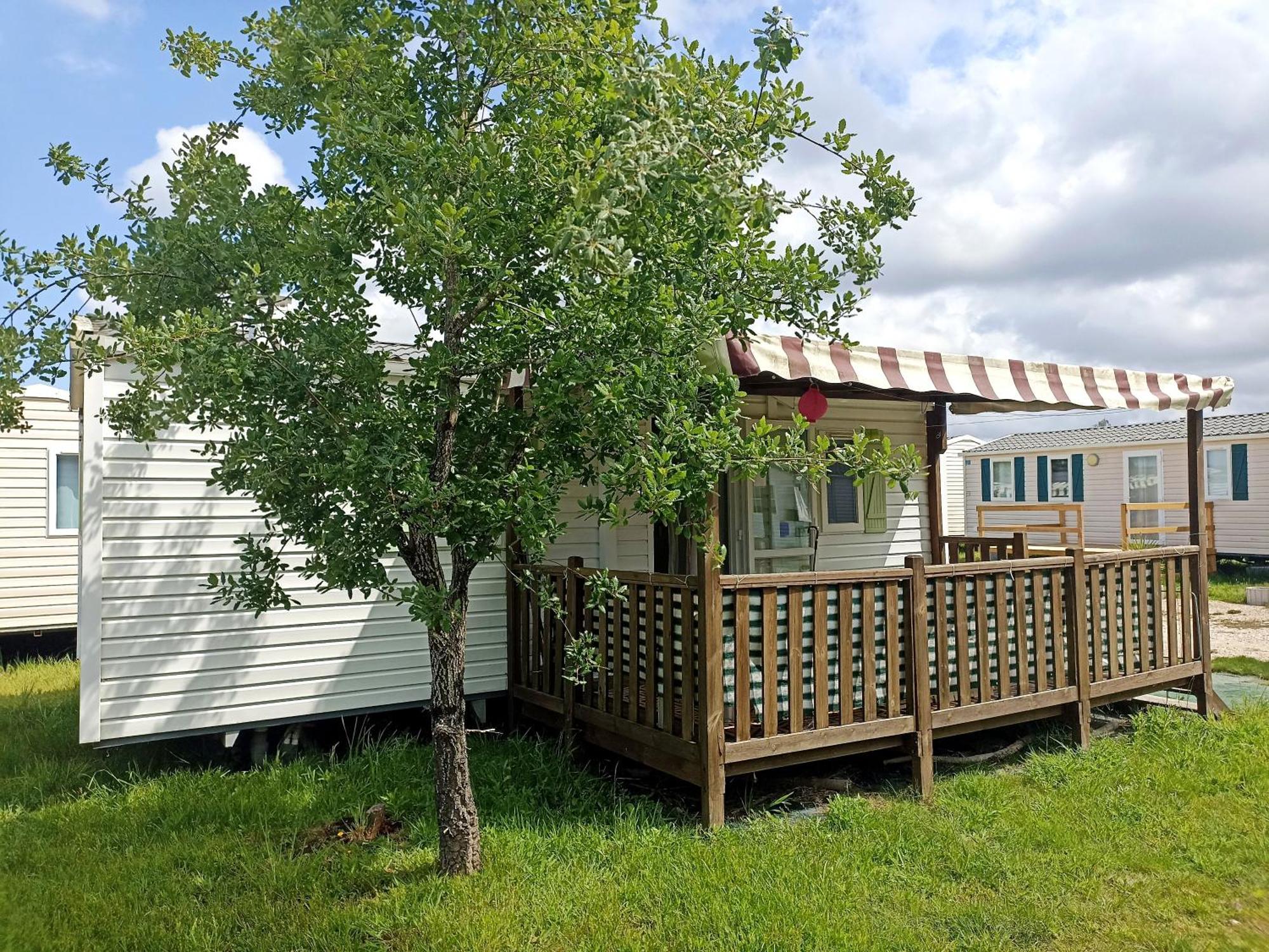Tinyhouse Tilda - Near Famous Beaches Pataias Exterior foto