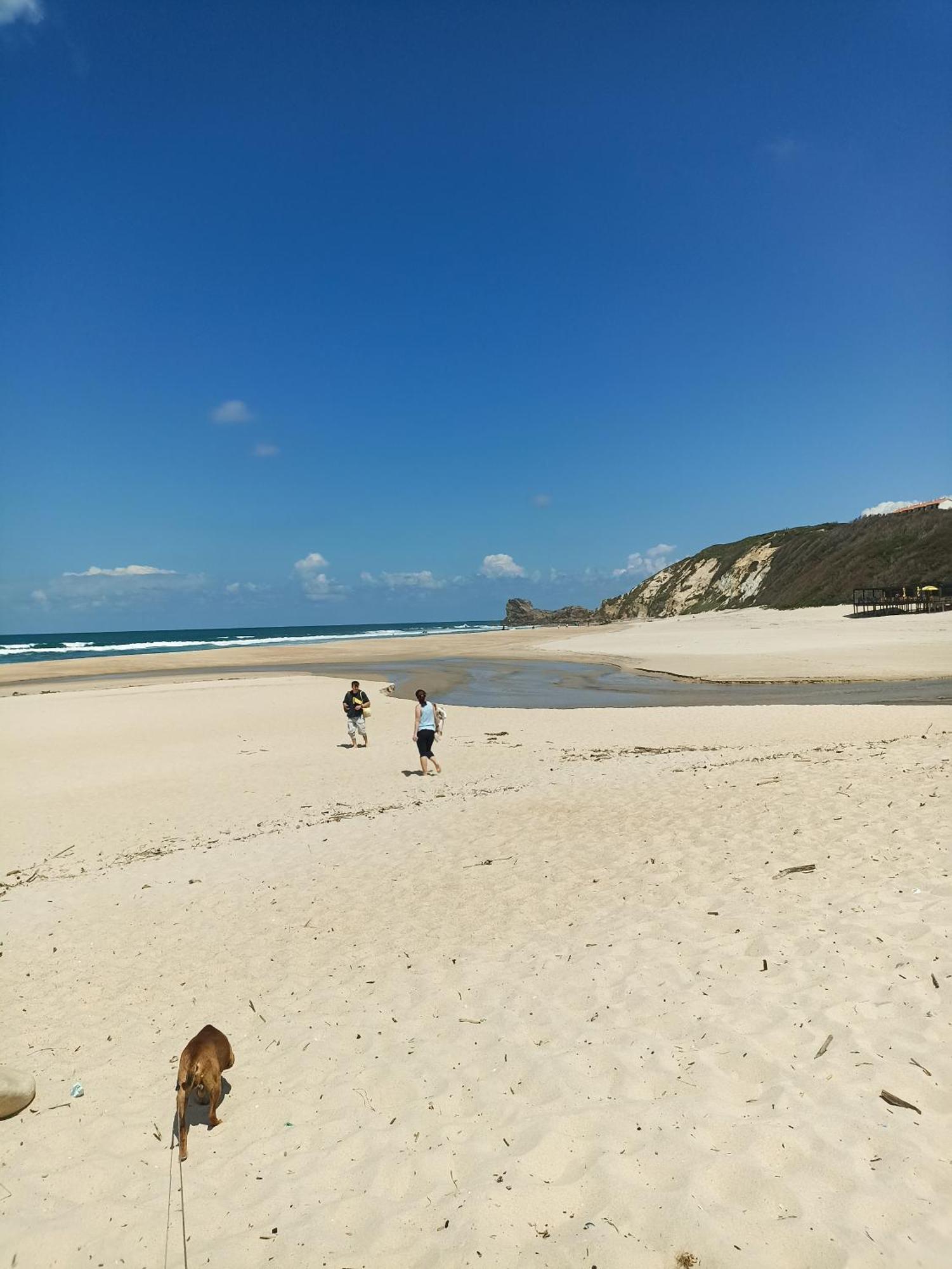 Tinyhouse Tilda - Near Famous Beaches Pataias Exterior foto